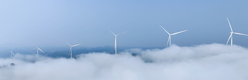 Monsoon Wind Message from the CEO Preferred 2