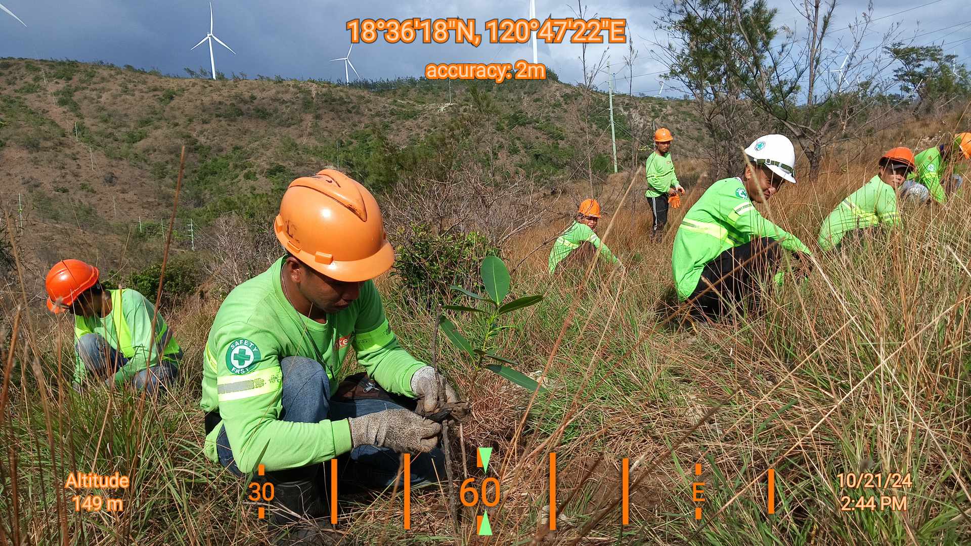 BitaogTree