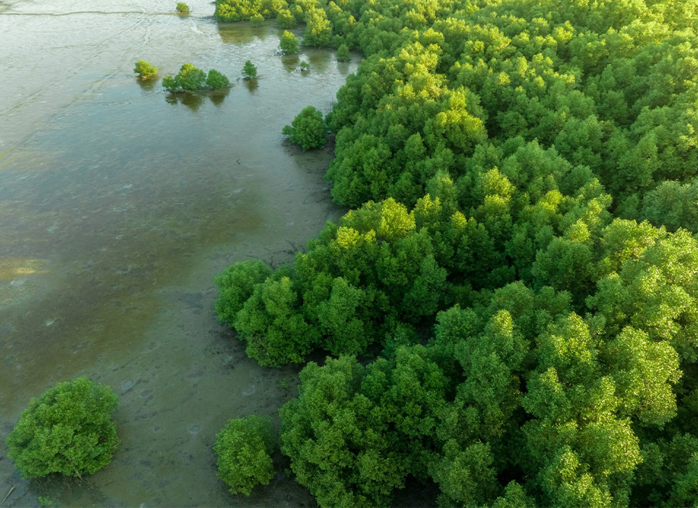 ACEN Conservation programs in other markets