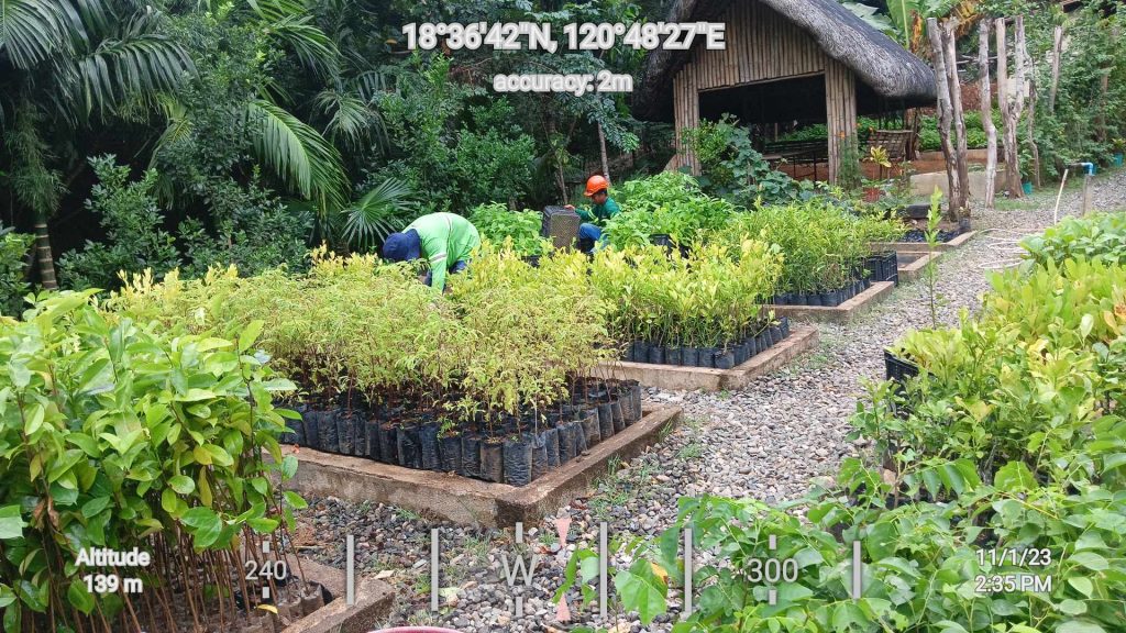Tree Tokens Nursery Photos (2)