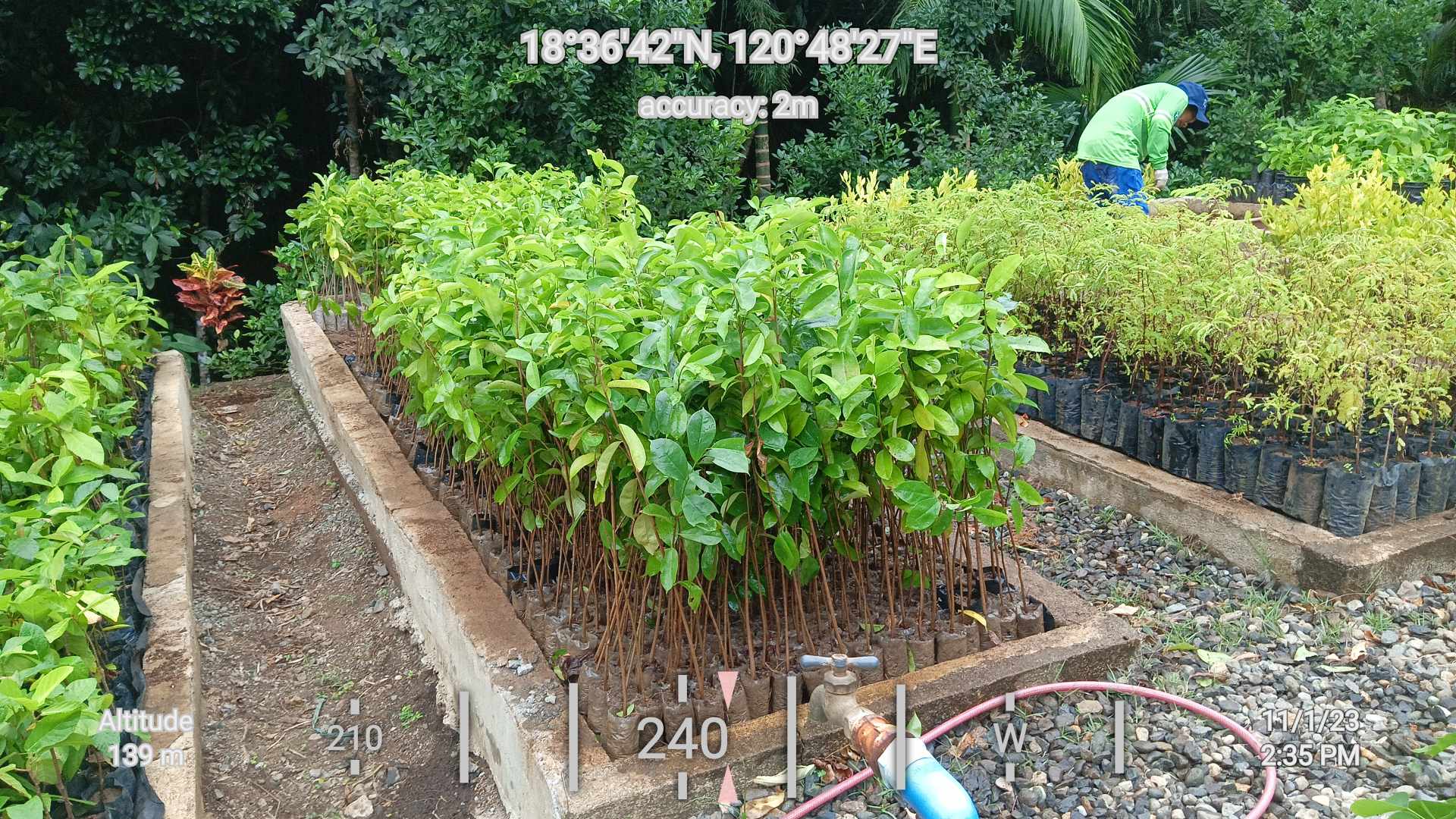 Tree Tokens Nursery Photos (8)