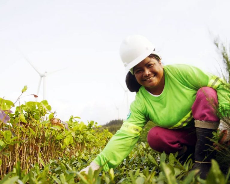 ACEN Benefits of renewable energy to the communities