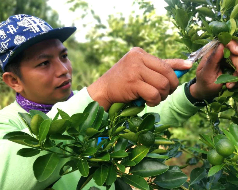 ACEN Renewable Energy Company in the Philippines Community initiatives