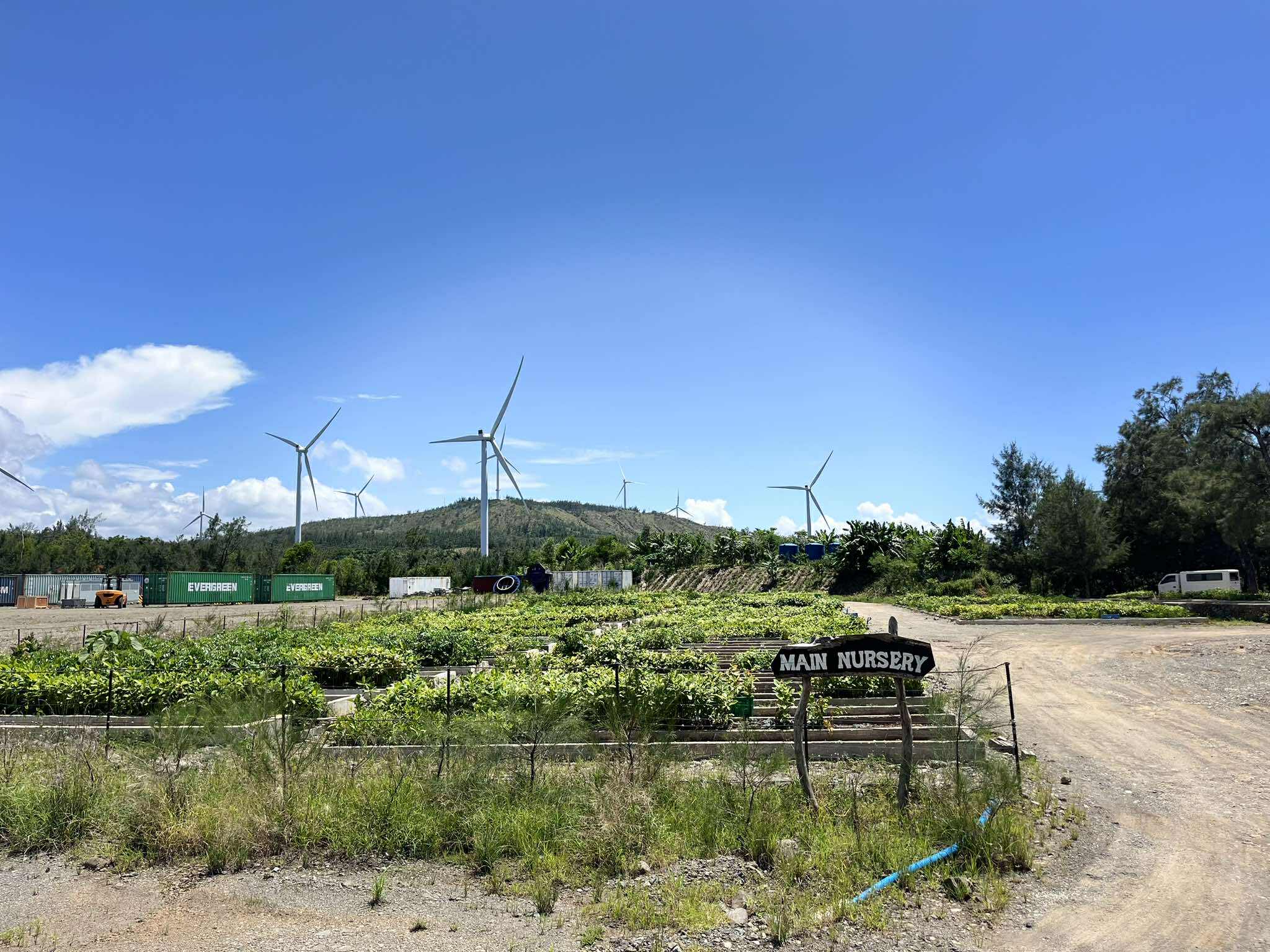 Tree Seedlings Nursery 1