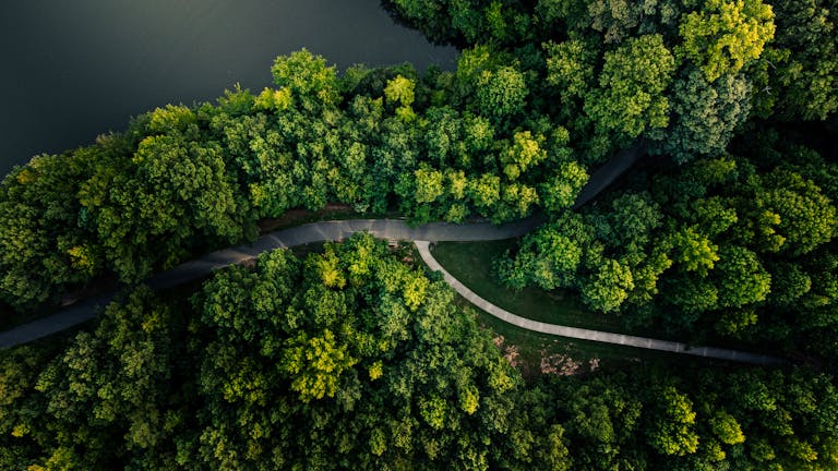 Captivating aerial image of a vibrant green forest with a winding path. Shot in Apex, NC.