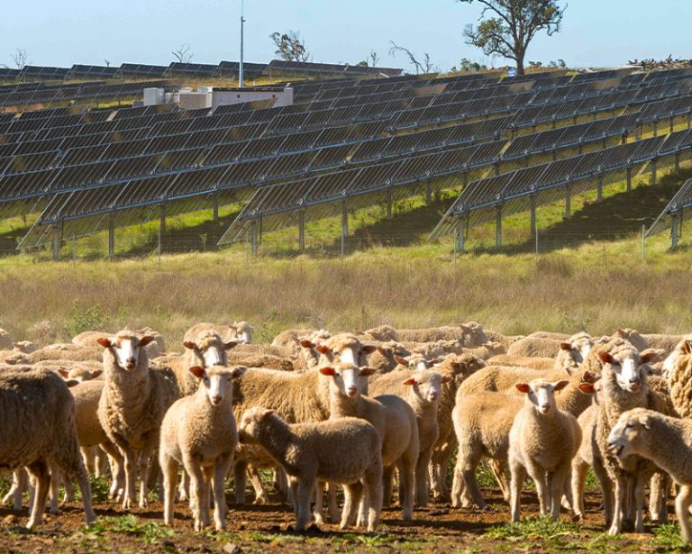 Advantages of agrivoltaics