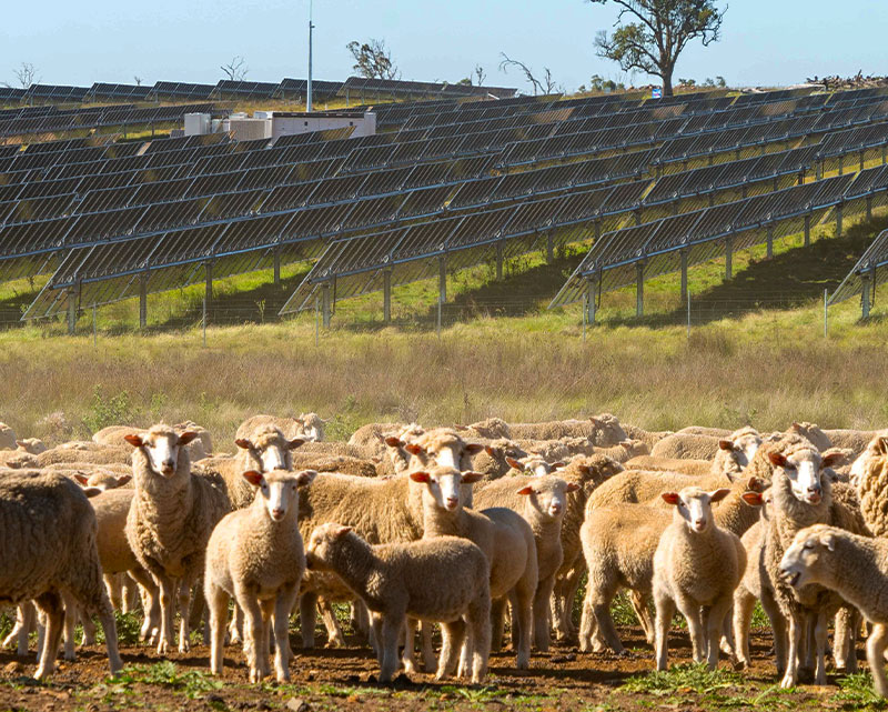 Advantages of agrivoltaics