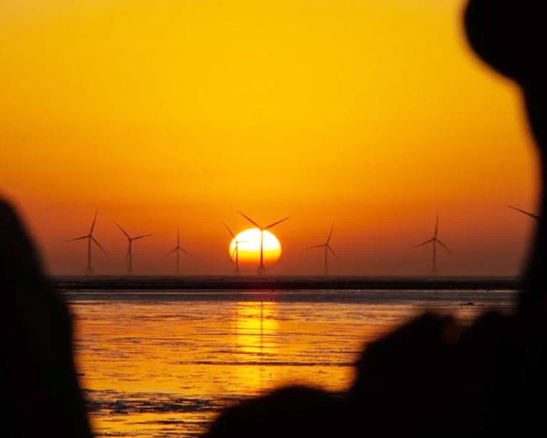 How do wind turbines work