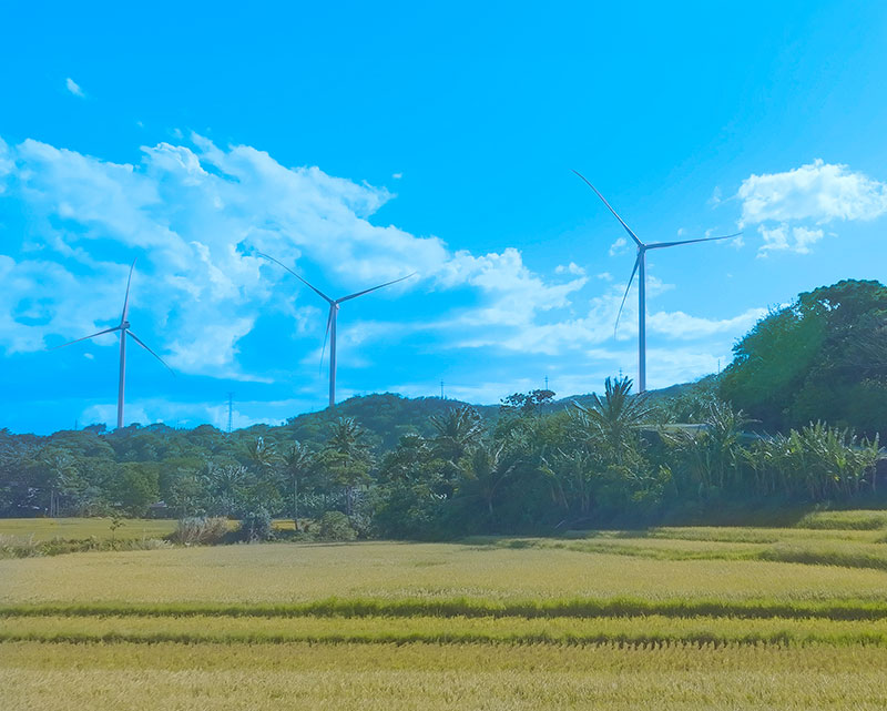 Wind Energy Turbine Generators