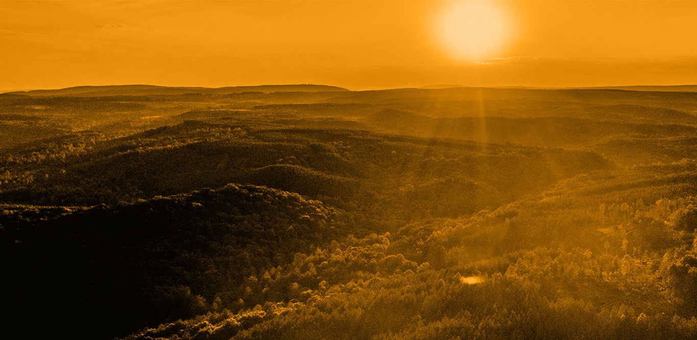 Towards-sustainable-future